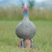 Wildcrete Guinea Fowl